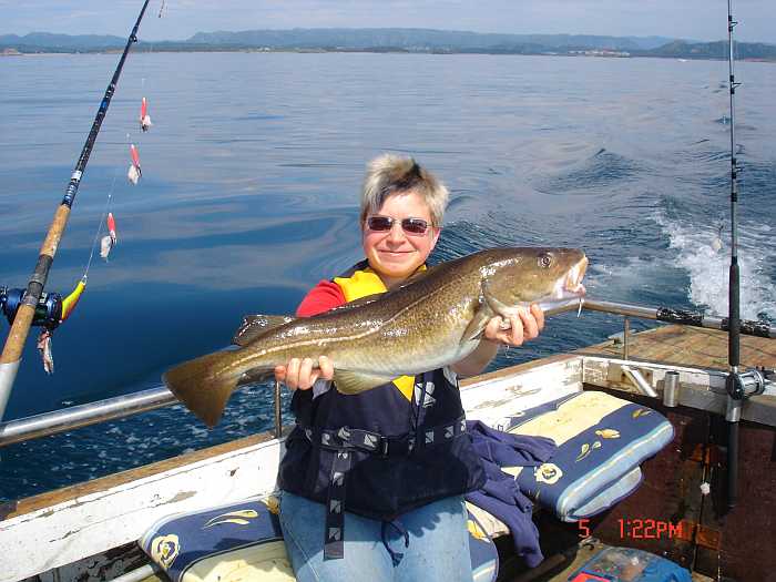 Sommerdorsch Sommerdorsch